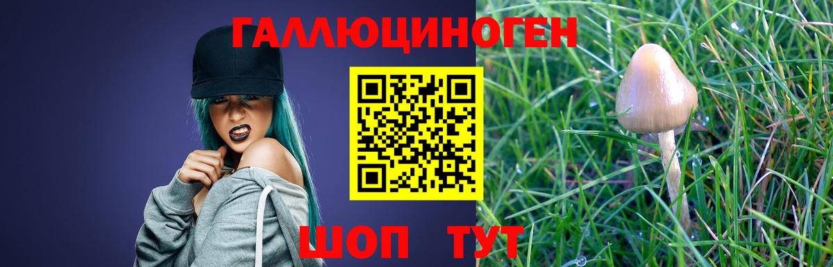 Псилоцибиновые грибы Magic Shrooms  где продают наркотики  Ишимбай  Вход с VPN 